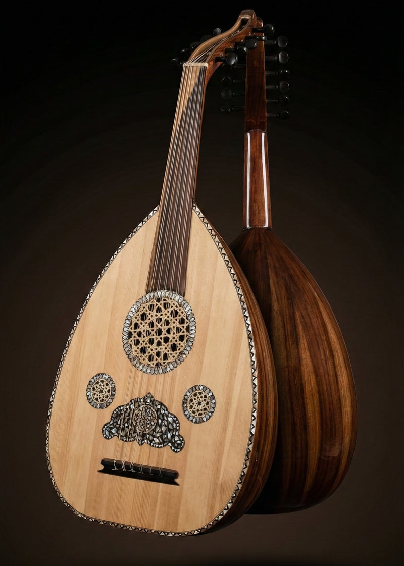 عود موسيقي لوكس فاخر مع حقيبة وريشتي عزف